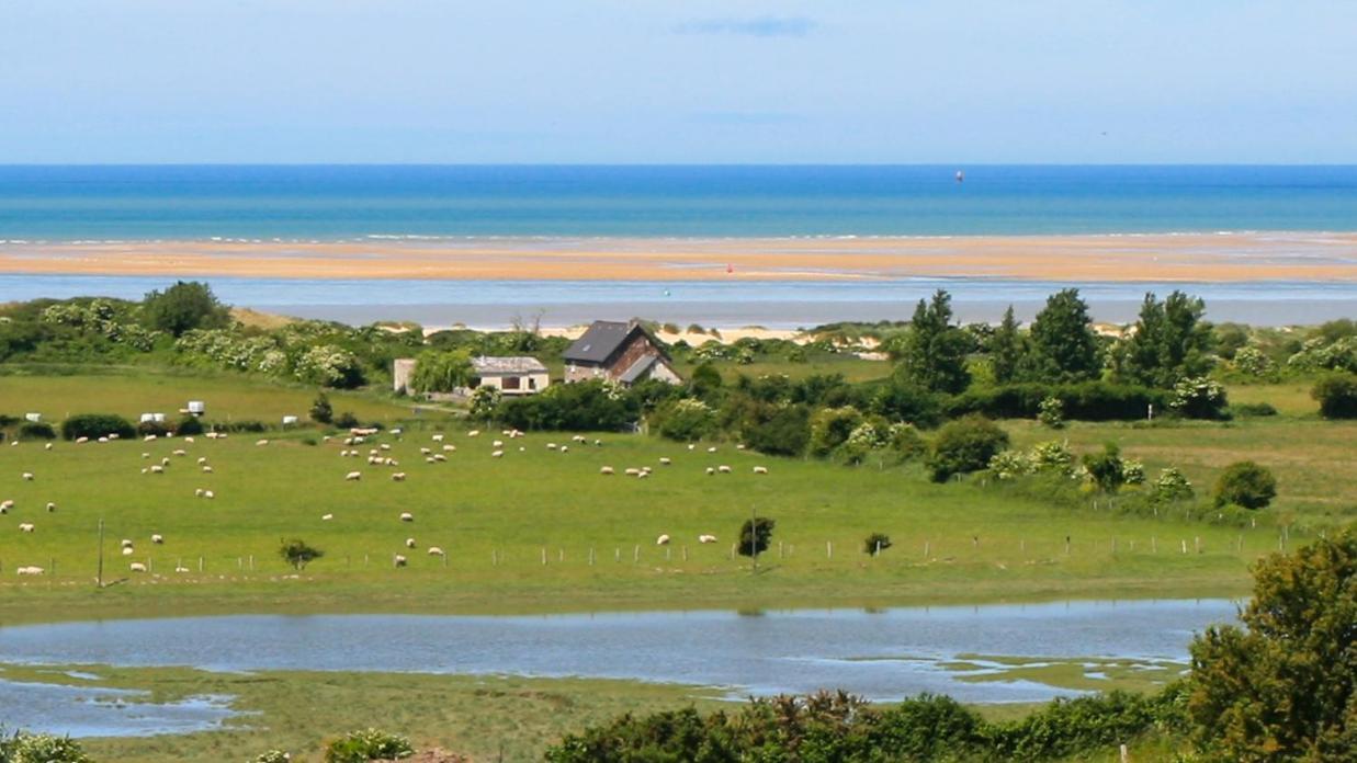 Le Marais Villa Montmartin-sur-Mer Luaran gambar